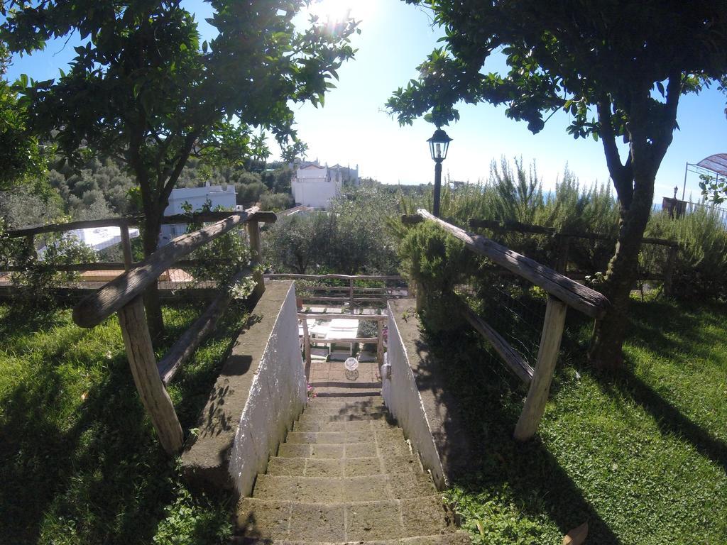 Villa Carolina Sorrento Private Heated Pool And Sea View Exterior foto
